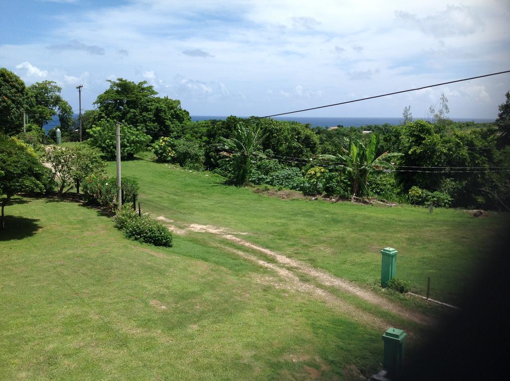 Chillax On Our Farm Guest House Ocho Rios Exterior photo